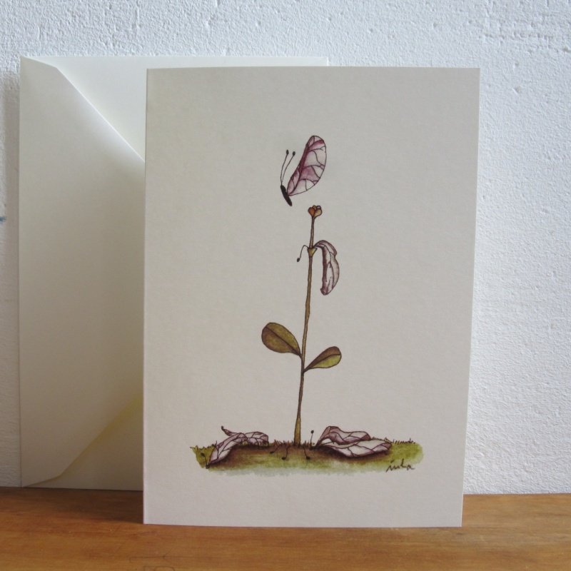 Tulpenpflanze von der das letzte Blütenblatt als Schmetterling davonfliegt als Trauerbriefkarte