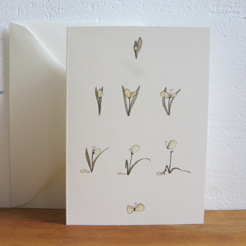 Tulpe Metamorphose zu Schmetterling als Trauerbriefkarte