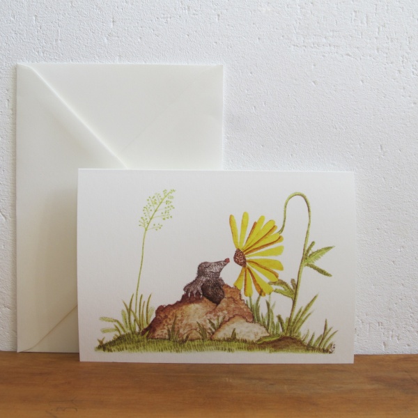 Maulwurf und Blume